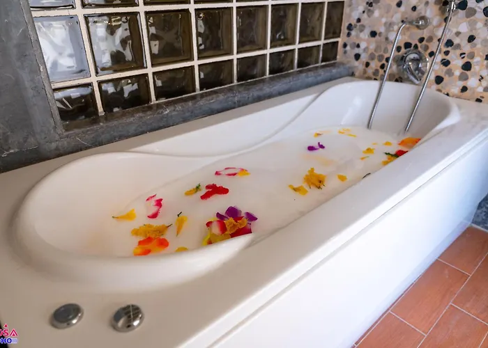Continental Rosa Boho Aquapark 3 Stars *
